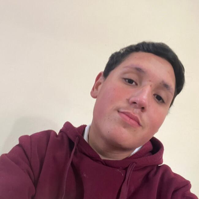 Niñera en El Fuerte de Montes Claros: Andres Medina