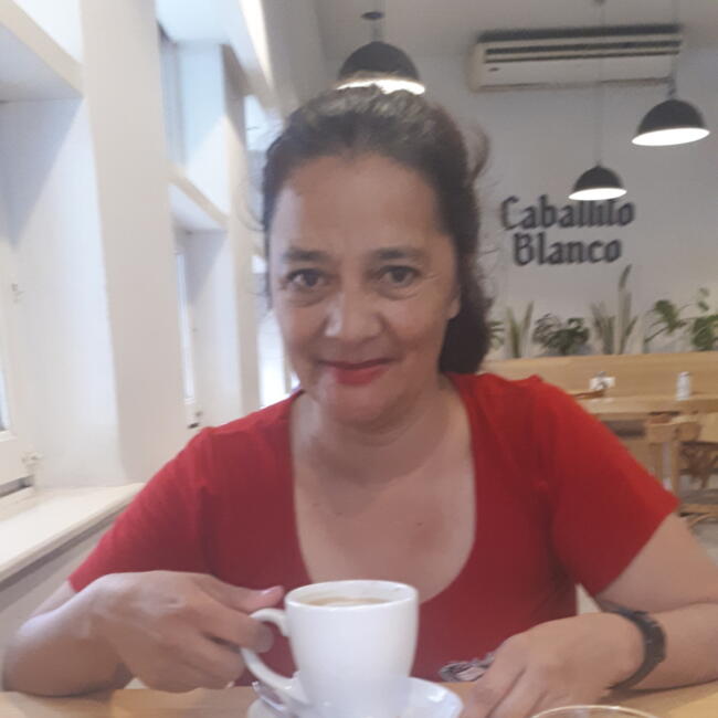 Niñera en Quilmes: Elida beatriz