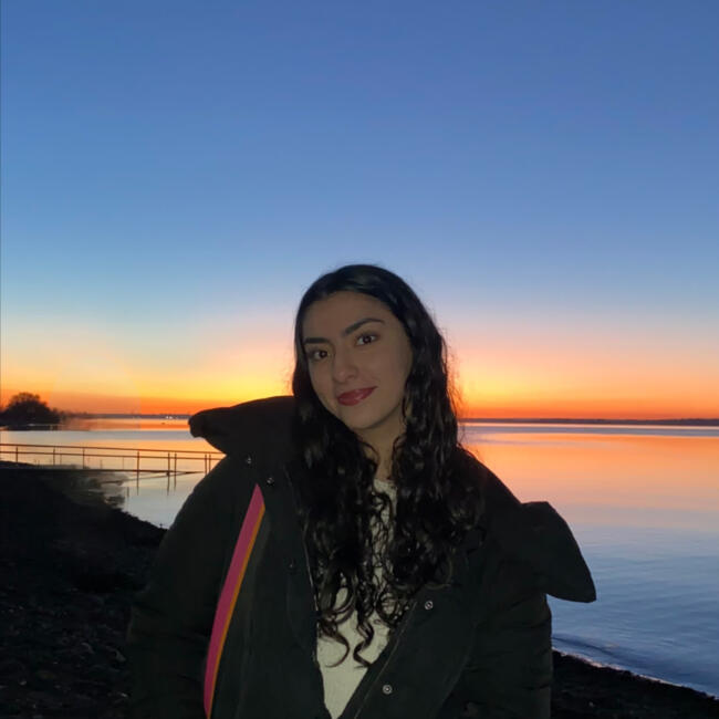 Niñera en Puerto Varas: Francisca