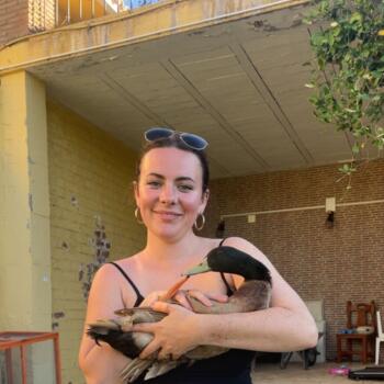 Canguro Estepona: Abby