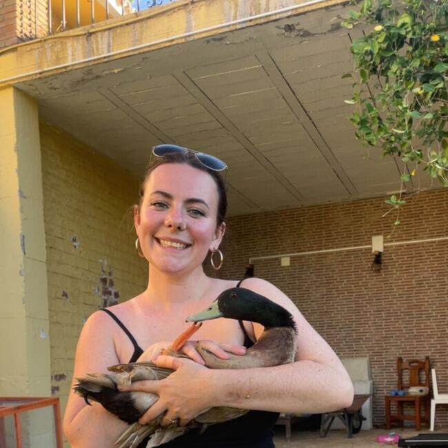 Babysitter in Estepona: Abby