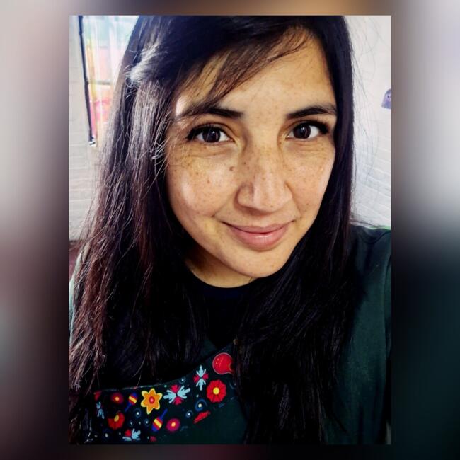 Babysitter in Santiago: Paola Noches