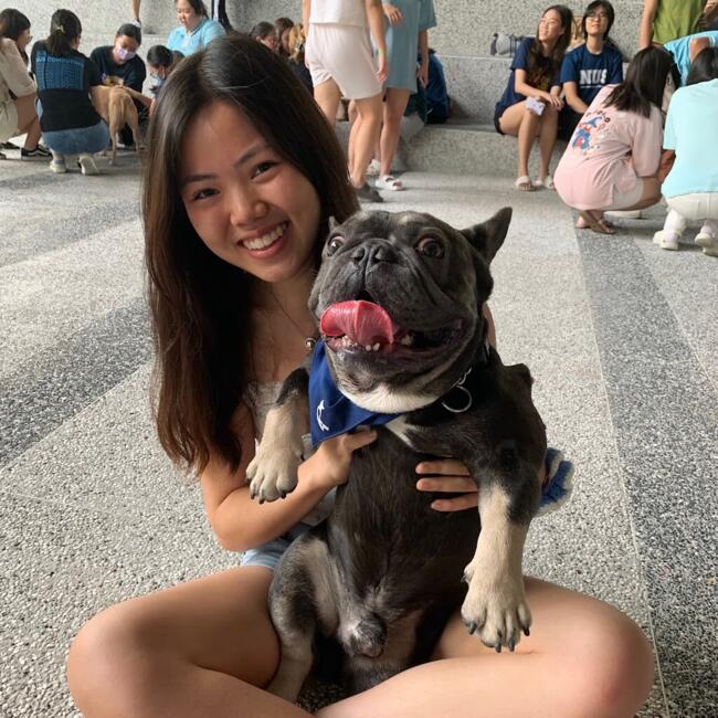 Babysitter in Singapore Island: Belle