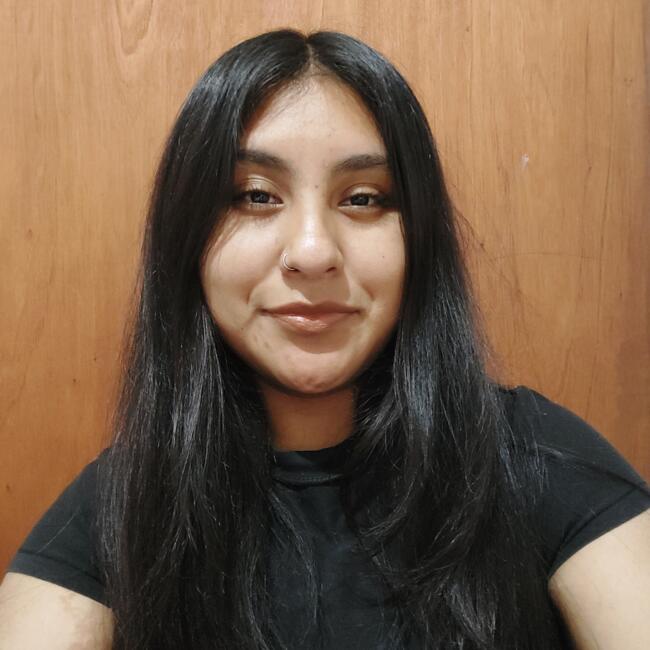 Babysitter in Salta: Lourdes