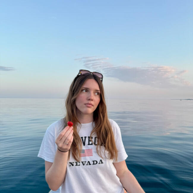 Babysitter in Saint-Paul-de-Vence: Romane