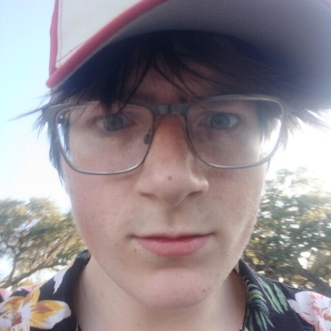 Babysitter in Ingleside (Texas): Brandon