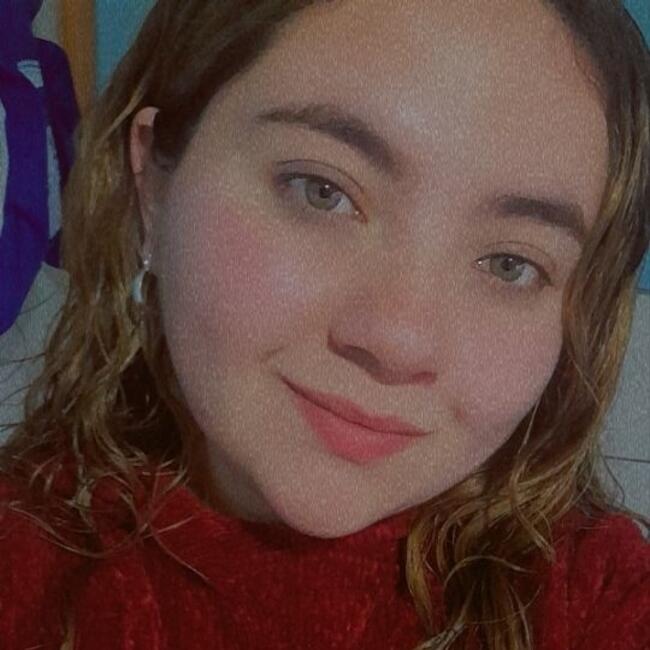 Babysitter in Port Montt: Krishna