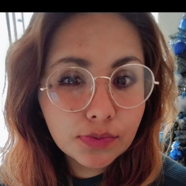 Babysitting job in La Trinidad (Cuautitlán): Ruy