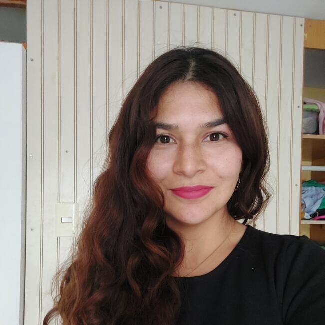 Babysitter in La Serena: Francisca