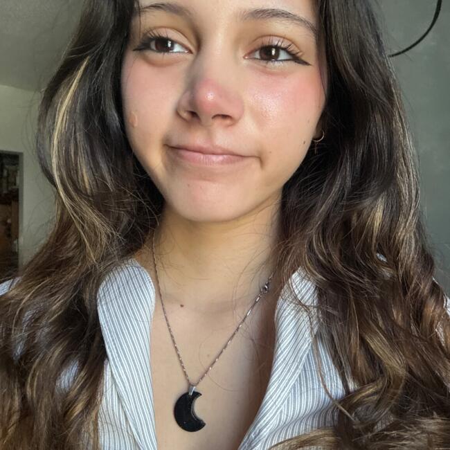 Babysitter in Monterrey: Alexa