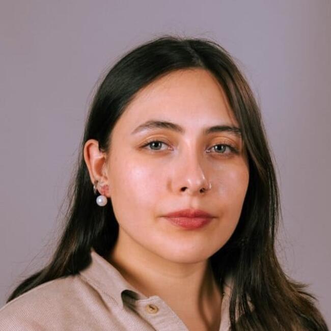 Babysitter in Valparaíso: Darling