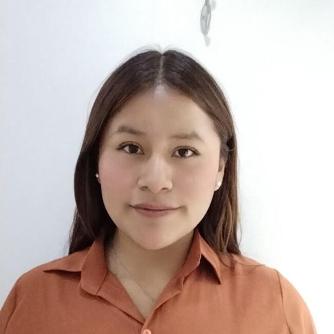 Niñera en Pilcomayo (Departamento de Junín): Neli Berlín