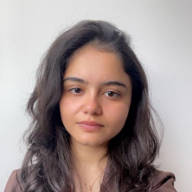 Babysitter in Paris: Anjali