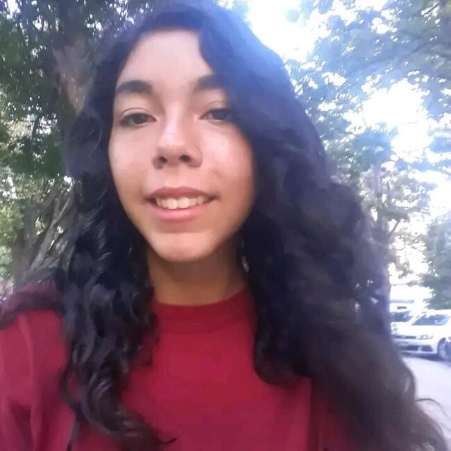 Babysitter in San Nicolás de los Arroyos: Araceli