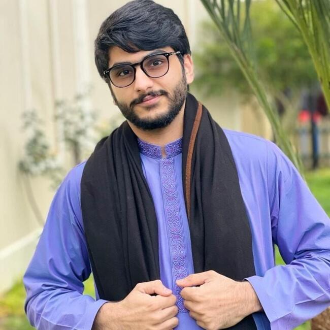 Babysitting job in Hobart: Syed Qasim