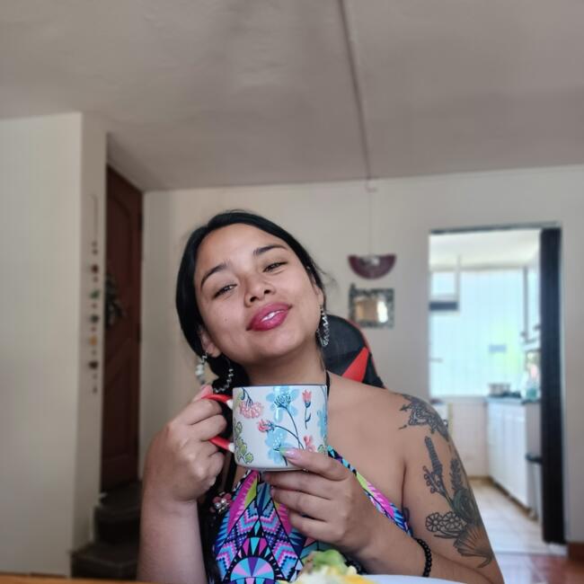 Babysitter in Santiago: Carolina