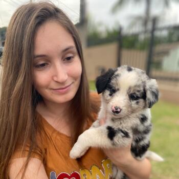 Babá em Blumenau: Camila