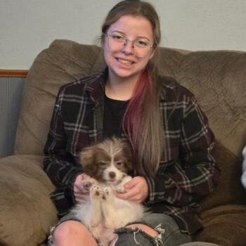 Babysitter in Belvidere (Illinois): Riley