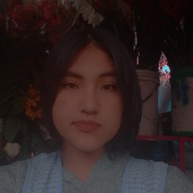 Niñera en San Jerónimo (Departamento de Cusco): Luz Sandra