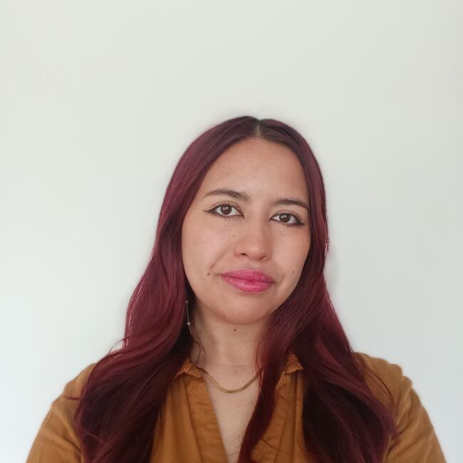 Babysitter in Bogotá: Camila Torres
