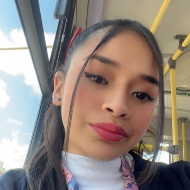 Babysitter in Bogotá: Michel