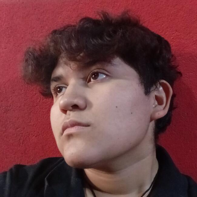 Babysitter in Pontevedra: Cristal