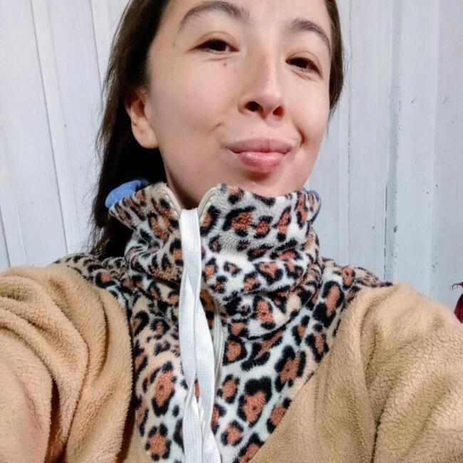 Babysitter in Concepción: Sarvia