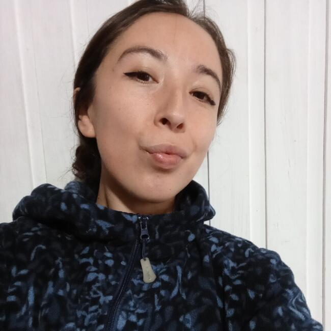 Babysitter in Concepción: Sarvia