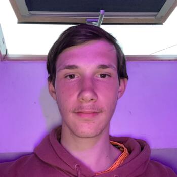 Babysitter in Paray-Vieille-Poste: Lino