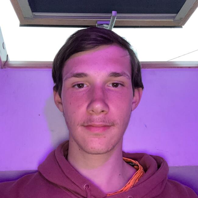 Babysitter in Paray-Vieille-Poste: Lino