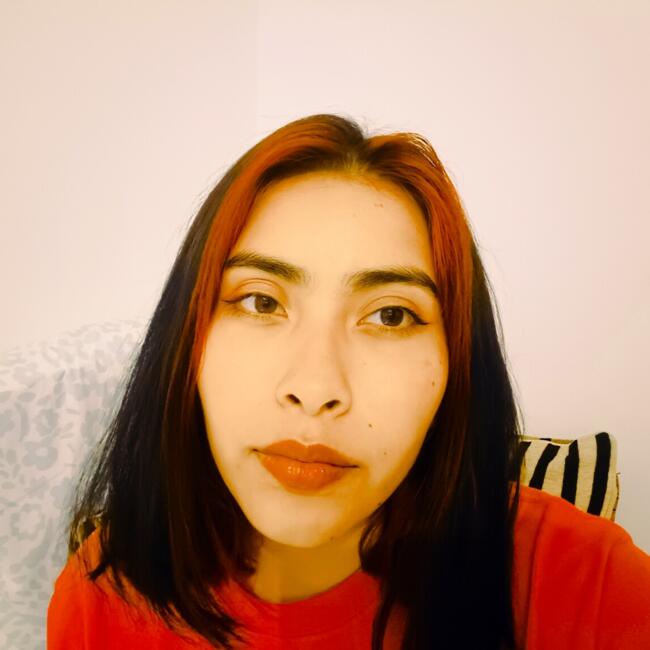 Babysitter in Port Montt: Valentina