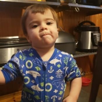 Babysitting job Kingsport: babysitting job Brad