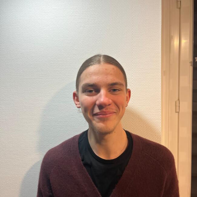 Babysitter in Grenoble: Léon