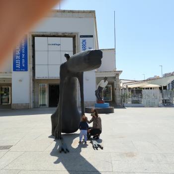 Trabajo de canguro en Benalmádena: trabajo de canguro David