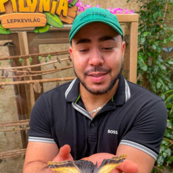 Babysitter in Limerick: Leonardo