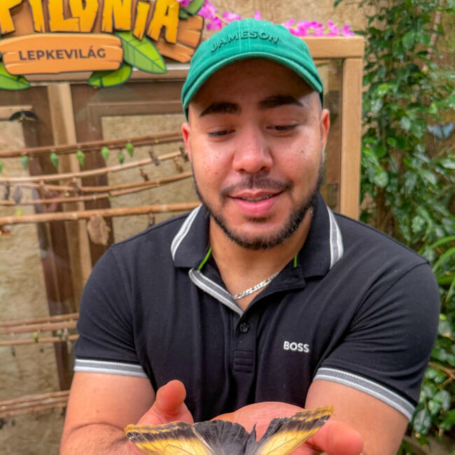 Babysitter a Limerick: Leonardo