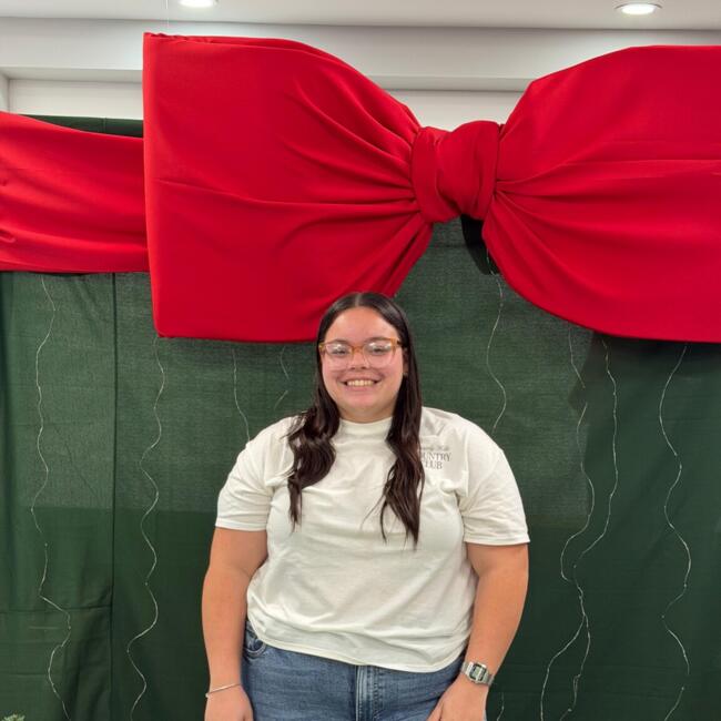 Babysitter in Bayamón: DANEYSHA