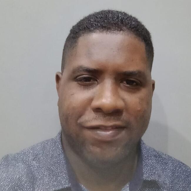 Babysitting job in Nova Iguaçu: Wellington