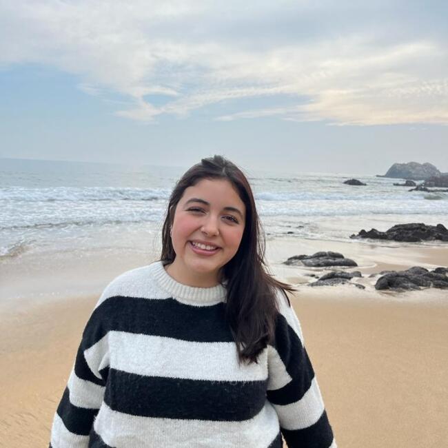 Babysitter in Temuco: Francisca