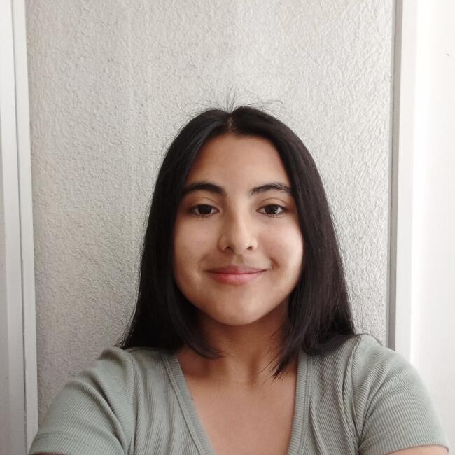 Niñera en Ovalle: Anita