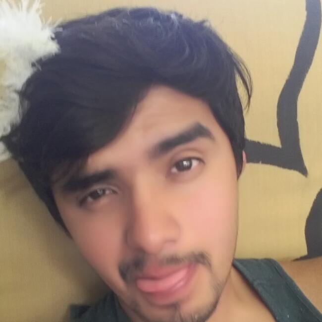 Trabajo para niñera en León: Octavio david