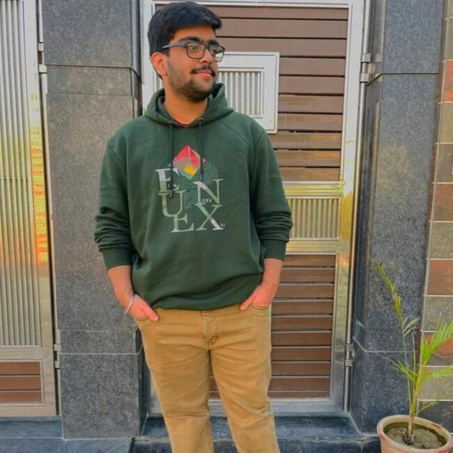 Babysitter in Nelson: Paarth