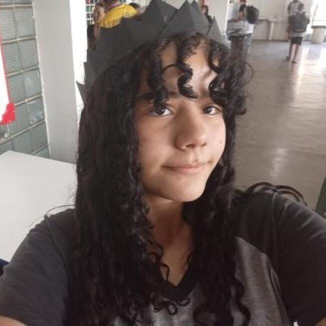 Babysitter in Araçatuba: Anna Clara