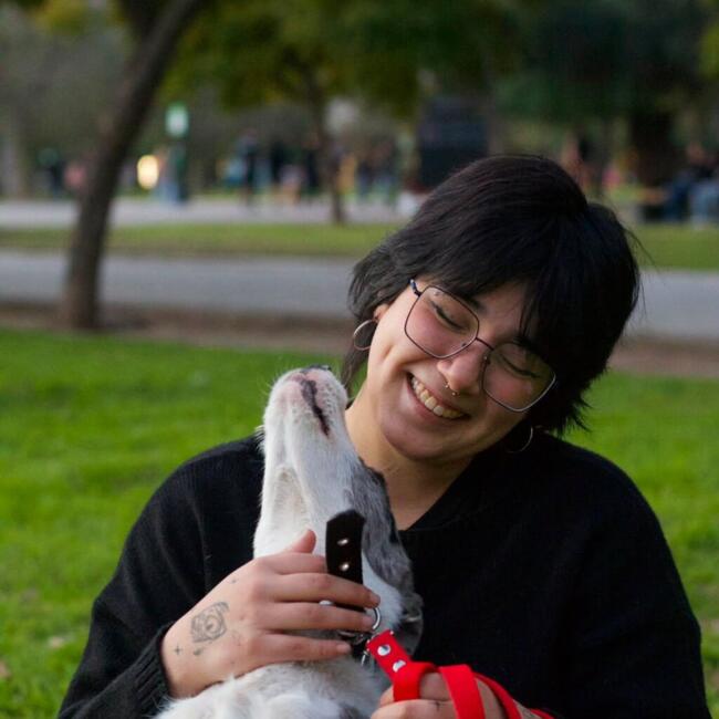 Babysitter in Bahía Blanca: Dana