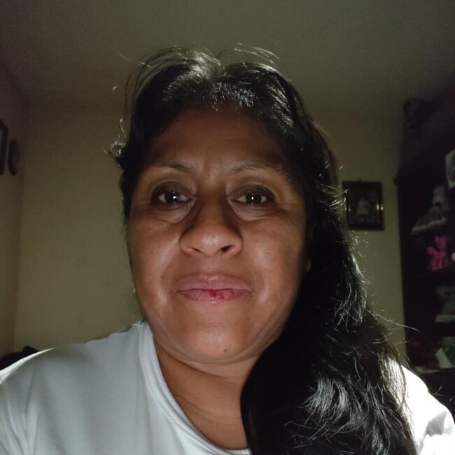 Niñera en Santa María Chimalhuacán: Maria Damiana