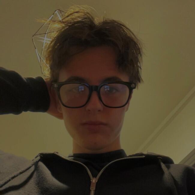 Babysitter in Montpellier: Aaron