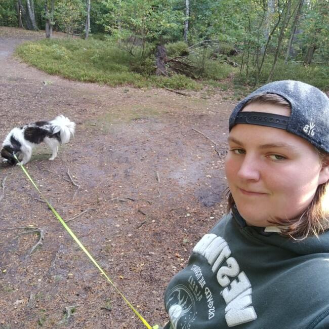 Babysitter in Buchholz in der Nordheide: Sandra