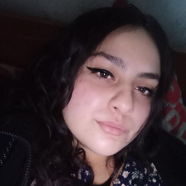 Babysitter in Coquimbo: Pilar