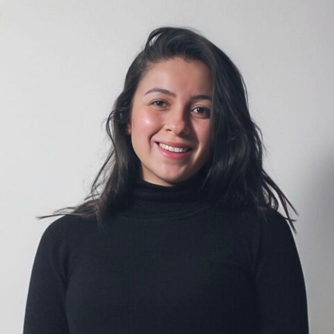 Babysitting job in Bogotá: Laura