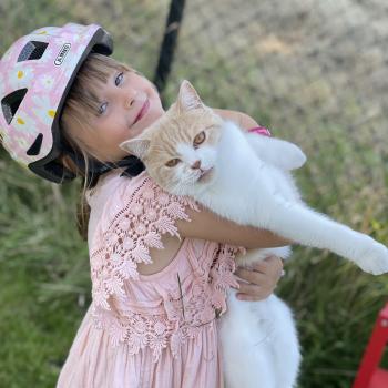 Babysit job in Grimbergen: babysit jobs M